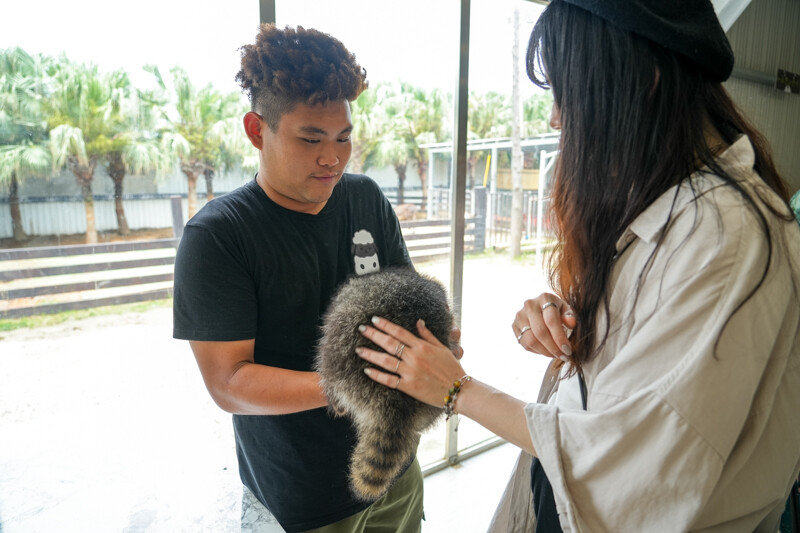 新竹香山｜廢物媽媽育兒農場．全園區採網路預約制！零距離可愛動物餵食，水豚君、梅花鹿、黑鼻羊、浣熊等～