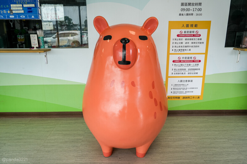 新竹香山｜廢物媽媽育兒農場．全園區採網路預約制！零距離可愛動物餵食，水豚君、梅花鹿、黑鼻羊、浣熊等～