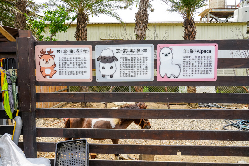 新竹香山｜廢物媽媽育兒農場．全園區採網路預約制！零距離可愛動物餵食，水豚君、梅花鹿、黑鼻羊、浣熊等～