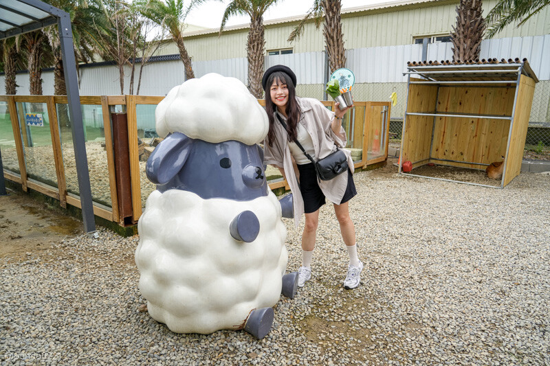 新竹香山｜廢物媽媽育兒農場．全園區採網路預約制！零距離可愛動物餵食，水豚君、梅花鹿、黑鼻羊、浣熊等～