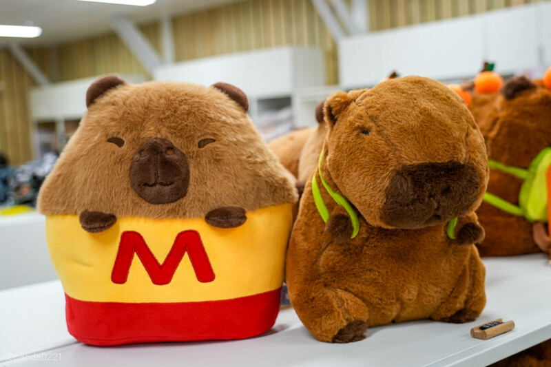 新竹香山｜廢物媽媽育兒農場．全園區採網路預約制！零距離可愛動物餵食，水豚君、梅花鹿、黑鼻羊、浣熊等～