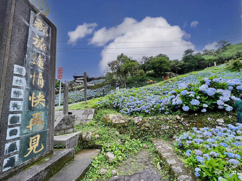 宜蘭縣頭城鎮石牌縣界公園》十萬朵繡球花齊放,金面大觀賞蘭陽八景,金面棧台上俯看龜山島及蘭陽平原盡收眼底