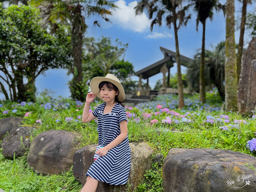 宜蘭縣頭城鎮石牌縣界公園》十萬朵繡球花齊放,金面大觀賞蘭陽八景,金面棧台上俯看龜山島及蘭陽平原盡收眼底