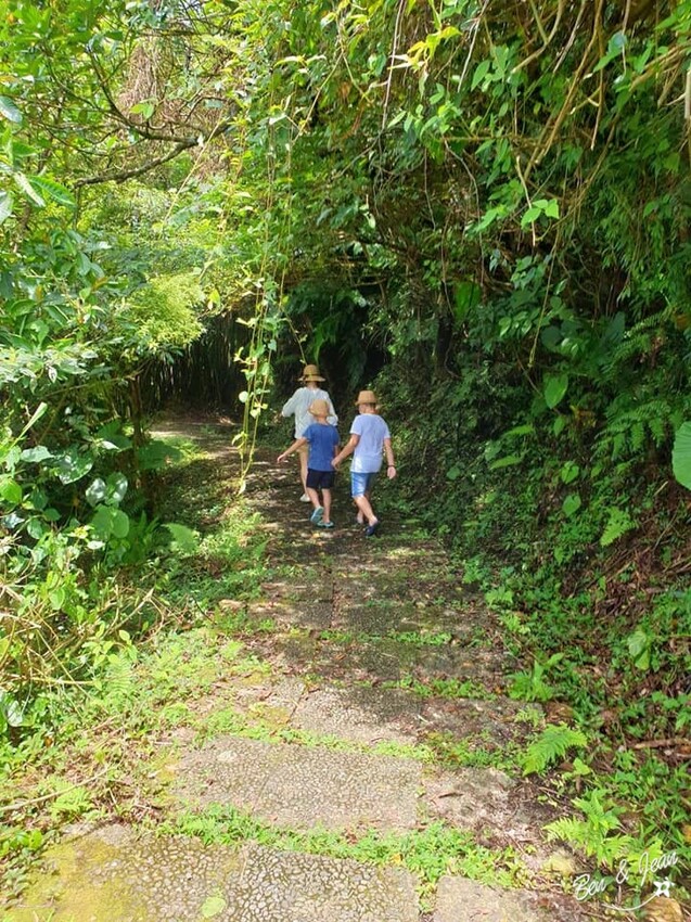宜蘭縣頭城鎮石牌縣界公園》十萬朵繡球花齊放,金面大觀賞蘭陽八景,金面棧台上俯看龜山島及蘭陽平原盡收眼底
