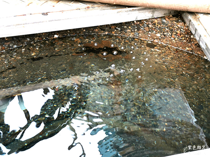 宜蘭縣冬山鄉龍目井湧泉活水游泳池》20元起一票玩到底.奈米氣泡熱水牛奶浴.健身房 SPA 烤箱 蒸汽室~CP值超高