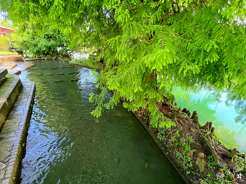宜蘭縣員山鄉雷公埤》免門票湧泉戲水景點、落羽松秘境、木樁棧橋、環湖步道