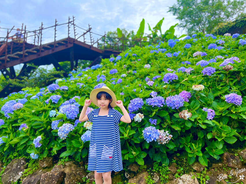 宜蘭縣頭城鎮石牌縣界公園》十萬朵繡球花齊放,金面大觀賞蘭陽八景,金面棧台上俯看龜山島及蘭陽平原盡收眼底