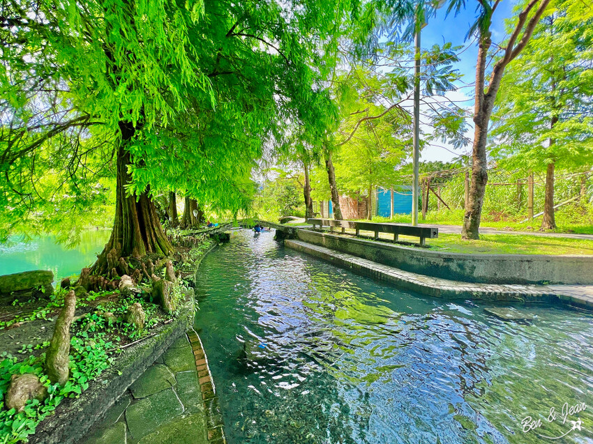 宜蘭縣員山鄉雷公埤》免門票湧泉戲水景點、落羽松秘境、木樁棧橋、環湖步道