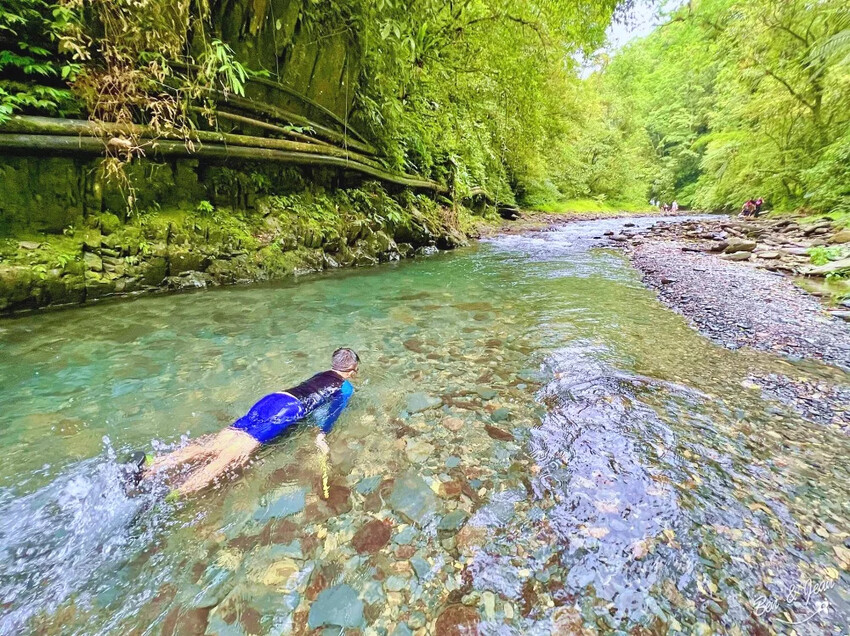 宜蘭縣員山鄉雷公埤》免門票湧泉戲水景點、落羽松秘境、木樁棧橋、環湖步道