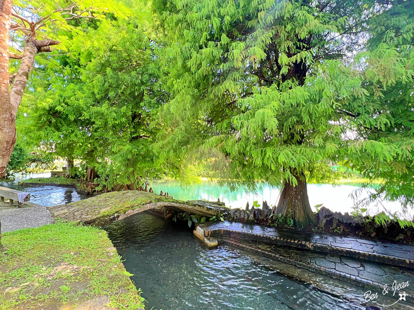 宜蘭縣員山鄉雷公埤》免門票湧泉戲水景點、落羽松秘境、木樁棧橋、環湖步道
