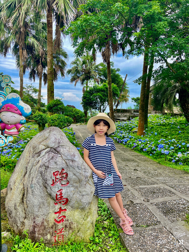 宜蘭縣頭城鎮石牌縣界公園》十萬朵繡球花齊放,金面大觀賞蘭陽八景,金面棧台上俯看龜山島及蘭陽平原盡收眼底