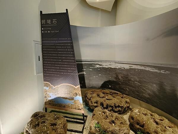 桃園市新屋區新屋客庄小旅行