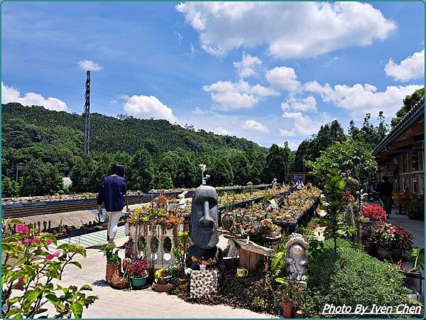 《桃園龍潭景點》桃園一日遊/超萌多肉植物大觀園/佳河錦鯉園/
