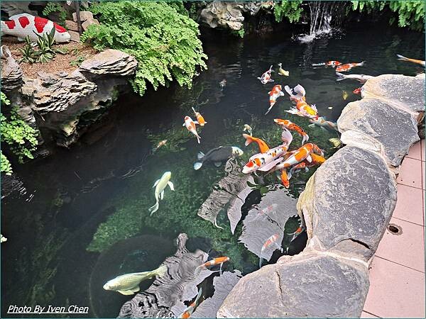 《桃園景點》假日桃園一日遊/親子互動園區/多肉植物園區/文創