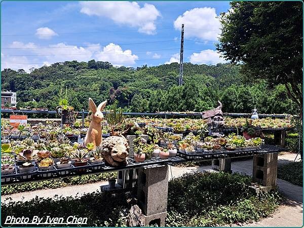 《桃園景點》假日桃園一日遊/親子互動園區/多肉植物園區/文創