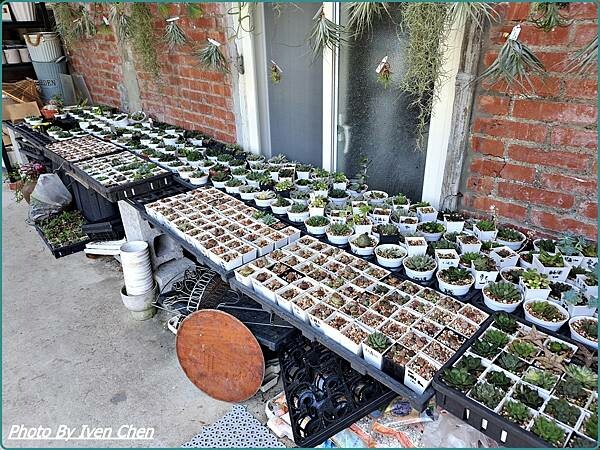 《桃園景點》假日桃園一日遊/親子互動園區/多肉植物園區/文創