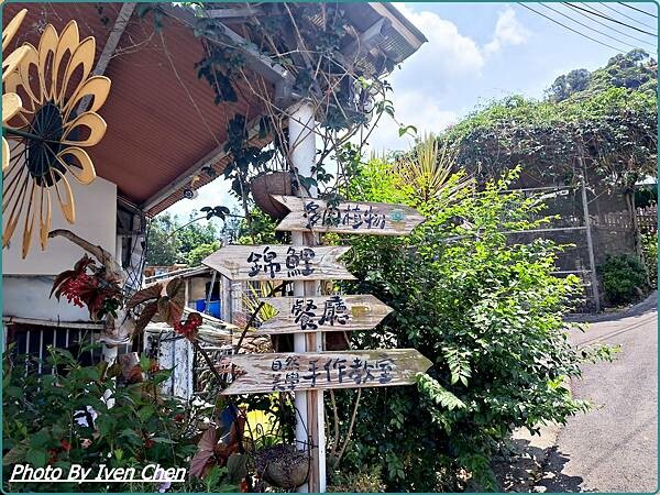 《桃園景點》假日桃園一日遊/親子互動園區/多肉植物園區/文創