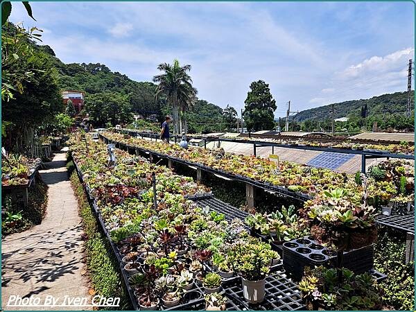 《桃園景點》假日桃園一日遊/親子互動園區/多肉植物園區/文創