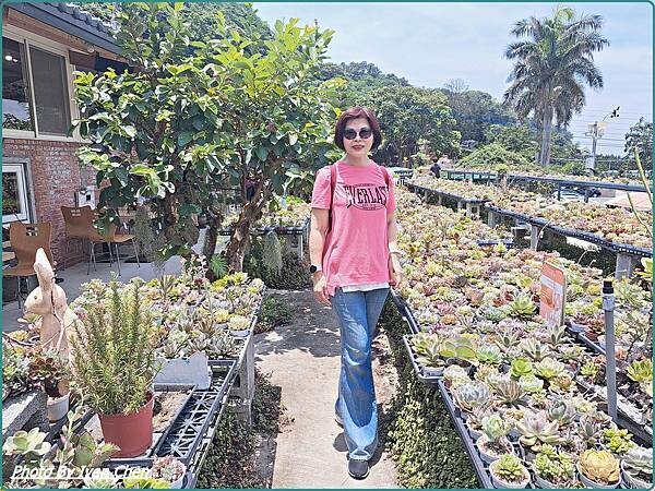 《桃園龍潭景點》桃園一日遊/超萌多肉植物大觀園/佳河錦鯉園/
