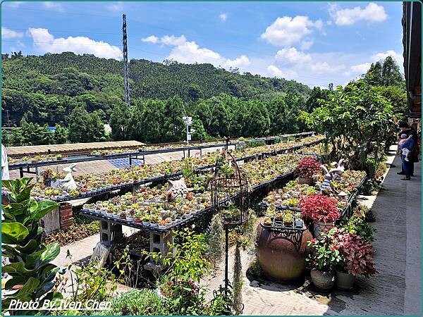 《桃園景點》假日桃園一日遊/親子互動園區/多肉植物園區/文創
