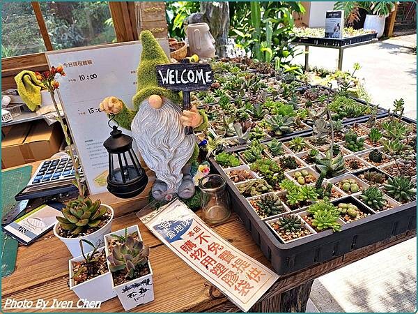 《桃園景點》假日桃園一日遊/親子互動園區/多肉植物園區/文創