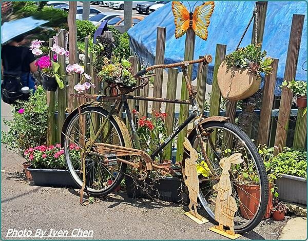 《桃園龍潭景點》桃園一日遊/超萌多肉植物大觀園/佳河錦鯉園/