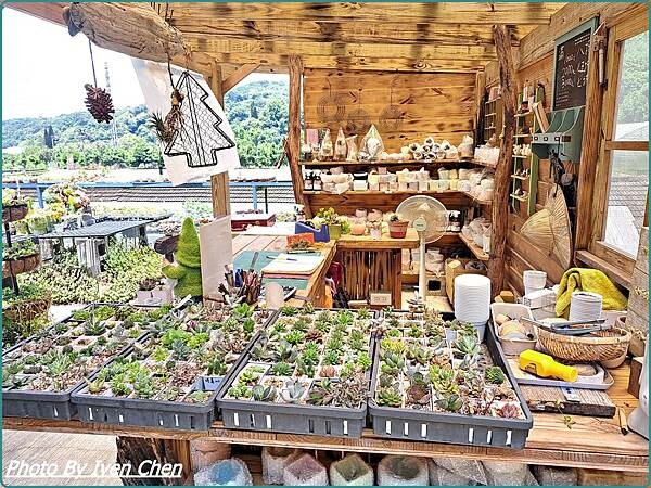 《桃園景點》假日桃園一日遊/親子互動園區/多肉植物園區/文創