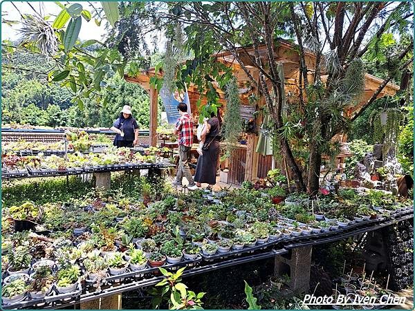 《桃園景點》假日桃園一日遊/親子互動園區/多肉植物園區/文創