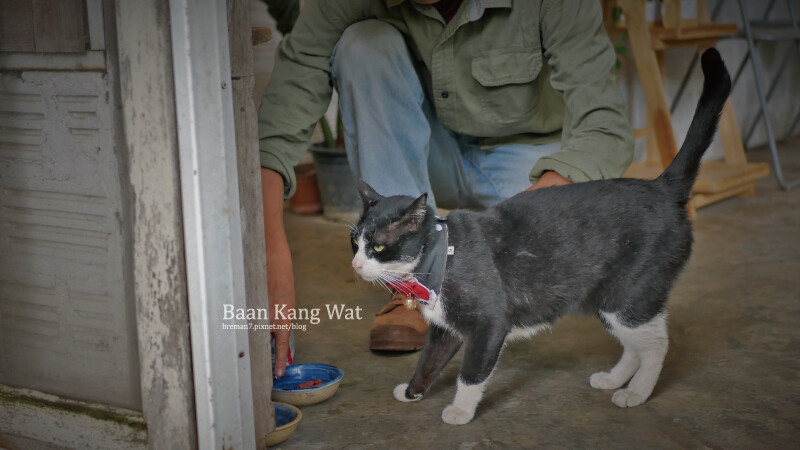 Baan-Kang-Wat-3