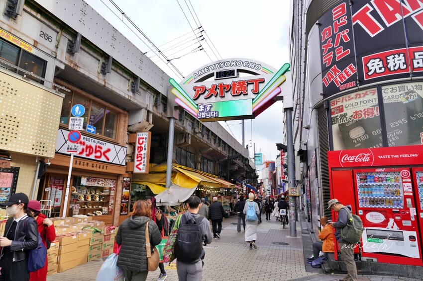 日本【成田機場交通】京成電鐵 Skyliner,41分鐘直達上野,上野逛街美食購物分享