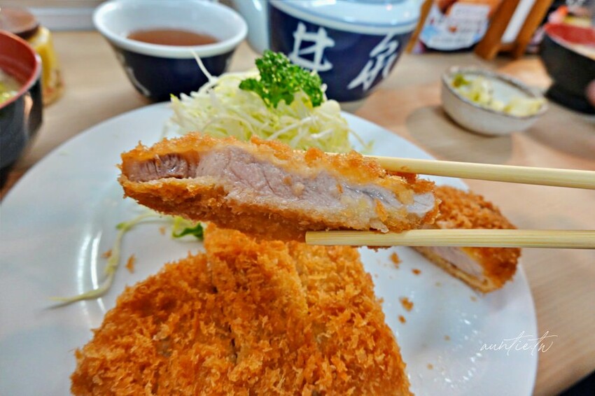 日本【成田機場交通】京成電鐵 Skyliner,41分鐘直達上野,上野逛街美食購物分享