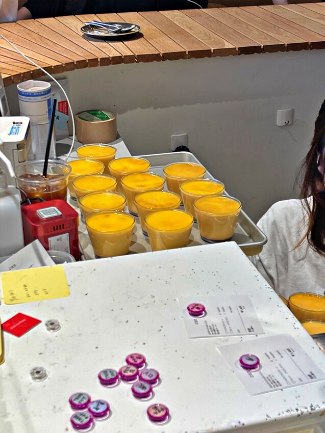 日本【大阪】中崎町|OSA COFFEE,香濃厚實布丁冰淇淋,機場概念主題咖啡廳