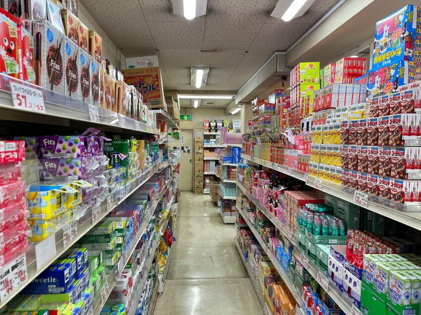 日本【成田機場交通】京成電鐵 Skyliner,41分鐘直達上野,上野逛街美食購物分享