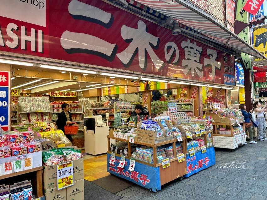 日本【成田機場交通】京成電鐵 Skyliner,41分鐘直達上野,上野逛街美食購物分享