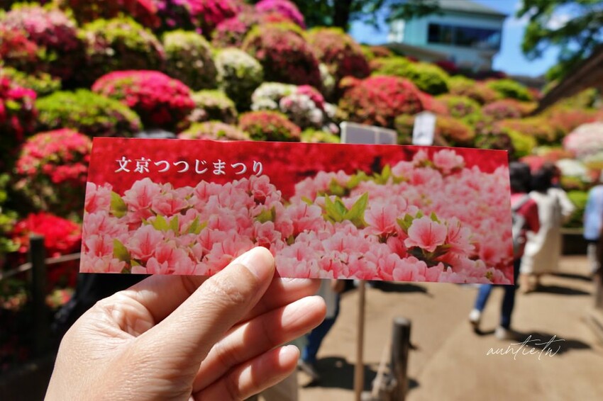 日本【成田機場交通】京成電鐵 Skyliner,41分鐘直達上野,上野逛街美食購物分享