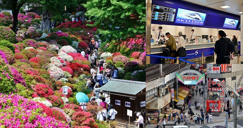 日本【成田機場交通】京成電鐵 Skyliner,41分鐘直達上野,上野逛街美食購物分享