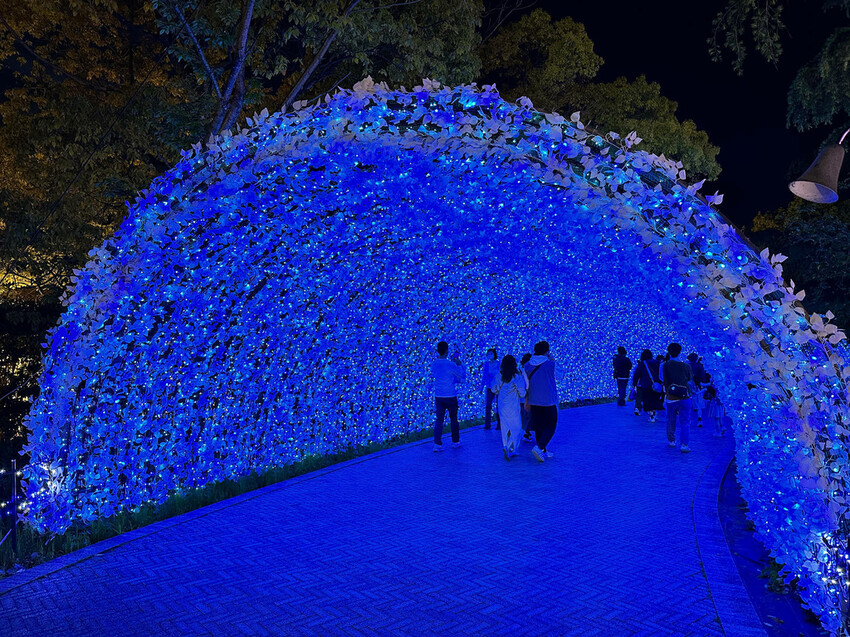 世界級美景,日本最大絢麗夢幻夜間燈光秀,結合花朵與燈飾的「名 世界級美景,日本最大絢麗夢幻夜間燈光秀,結合花朵與燈飾的「名