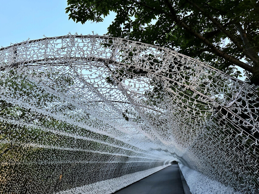 世界級美景,日本最大絢麗夢幻夜間燈光秀,結合花朵與燈飾的「名 世界級美景,日本最大絢麗夢幻夜間燈光秀,結合花朵與燈飾的「名
