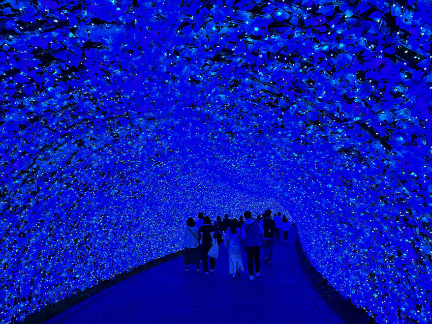 世界級美景,日本最大絢麗夢幻夜間燈光秀,結合花朵與燈飾的「名 世界級美景,日本最大絢麗夢幻夜間燈光秀,結合花朵與燈飾的「名