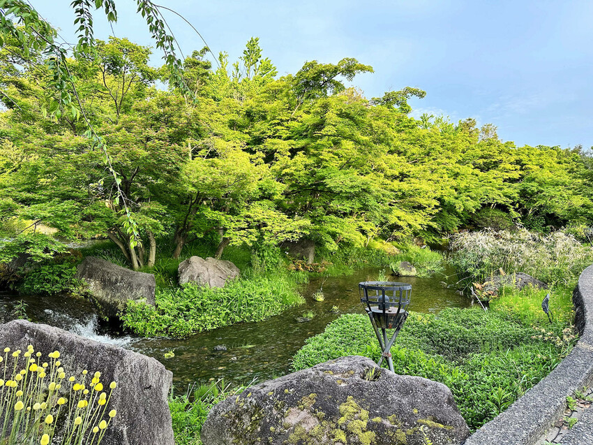 世界級美景,日本最大絢麗夢幻夜間燈光秀,結合花朵與燈飾的「名 世界級美景,日本最大絢麗夢幻夜間燈光秀,結合花朵與燈飾的「名