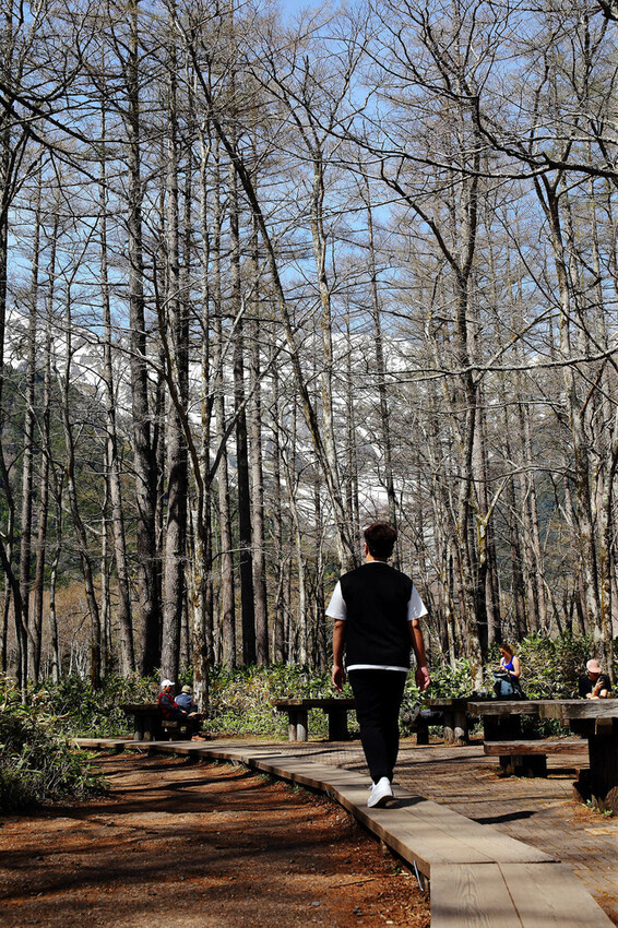 神的故鄉「上高地」,境內有大正池、田代池、河童橋、明神池等,