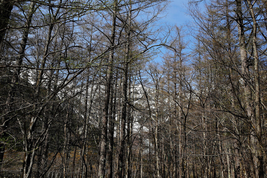 神的故鄉「上高地」,境內有大正池、田代池、河童橋、明神池等,