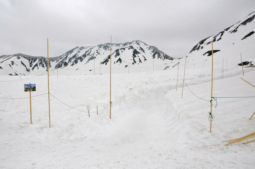 立生黑部真是人生必去一次的地方，雪牆絕景、沿途連綿不絶的壯麗