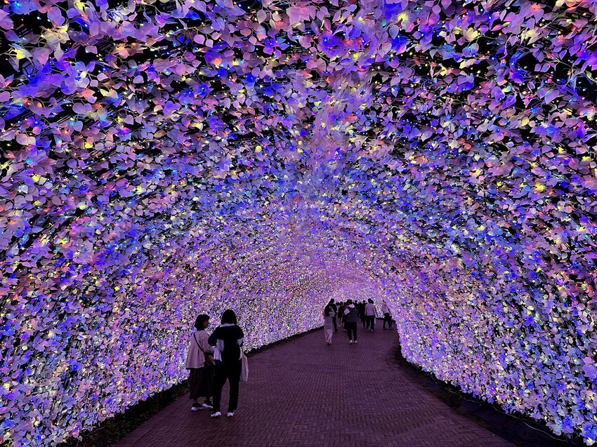 世界級美景,日本最大絢麗夢幻夜間燈光秀,結合花朵與燈飾的「名 世界級美景,日本最大絢麗夢幻夜間燈光秀,結合花朵與燈飾的「名