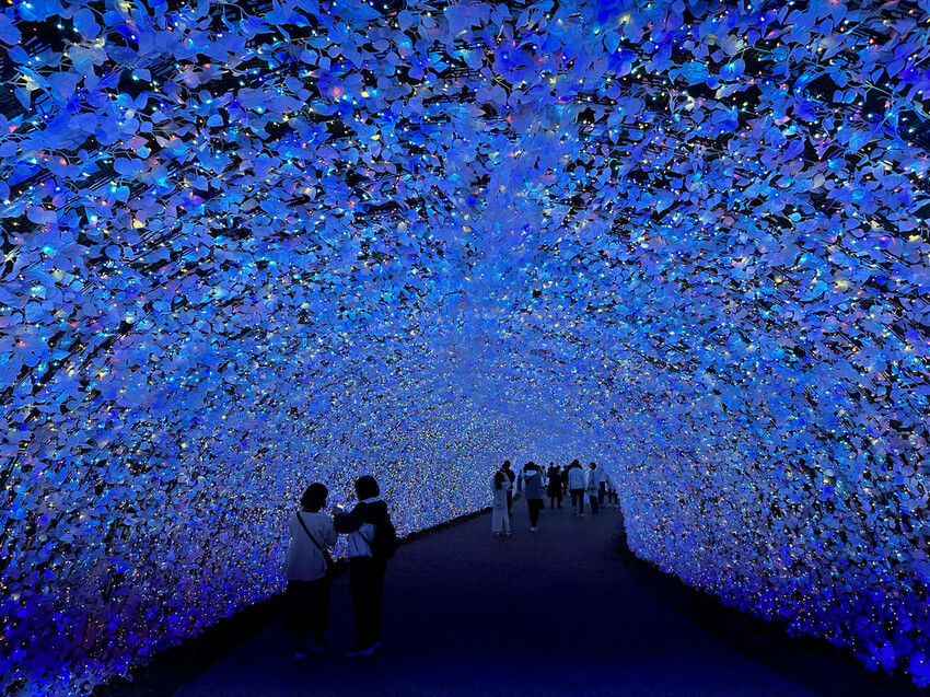 世界級美景,日本最大絢麗夢幻夜間燈光秀,結合花朵與燈飾的「名 世界級美景,日本最大絢麗夢幻夜間燈光秀,結合花朵與燈飾的「名