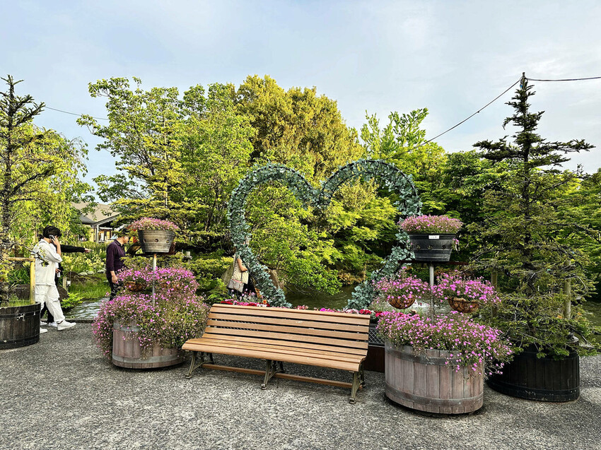 世界級美景,日本最大絢麗夢幻夜間燈光秀,結合花朵與燈飾的「名 世界級美景,日本最大絢麗夢幻夜間燈光秀,結合花朵與燈飾的「名