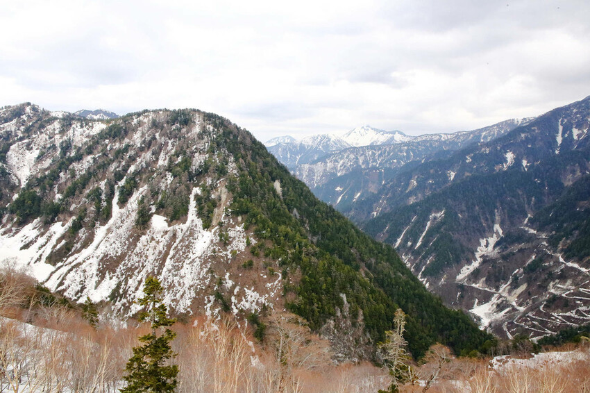 立生黑部真是人生必去一次的地方，雪牆絕景、沿途連綿不絶的壯麗