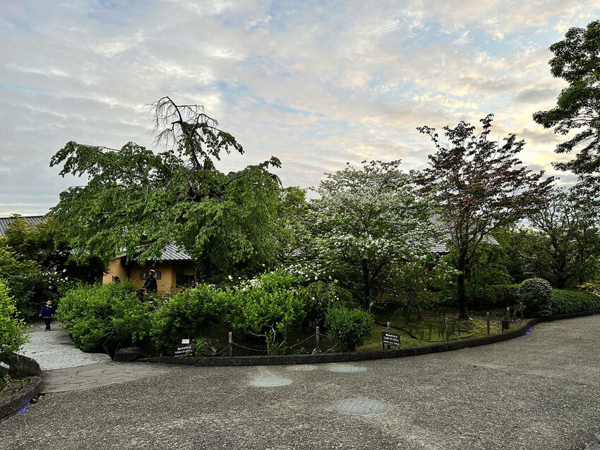 世界級美景,日本最大絢麗夢幻夜間燈光秀,結合花朵與燈飾的「名 世界級美景,日本最大絢麗夢幻夜間燈光秀,結合花朵與燈飾的「名