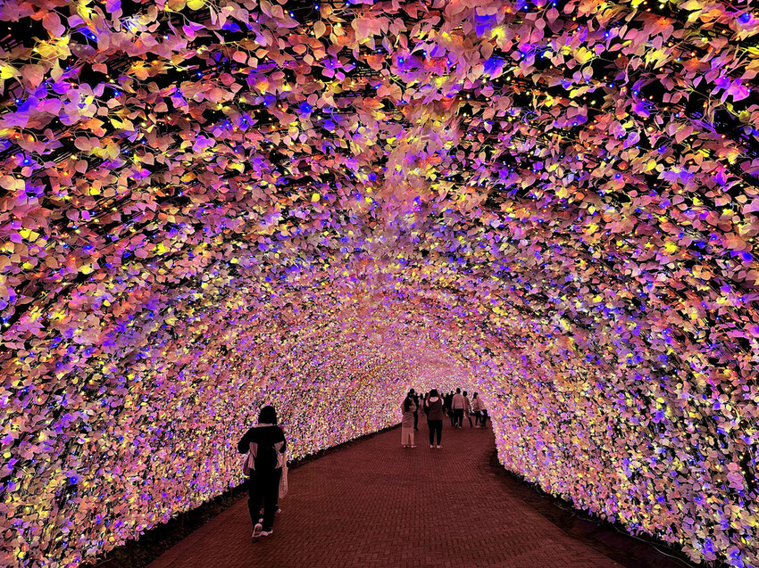 世界級美景,日本最大絢麗夢幻夜間燈光秀,結合花朵與燈飾的「名 世界級美景,日本最大絢麗夢幻夜間燈光秀,結合花朵與燈飾的「名