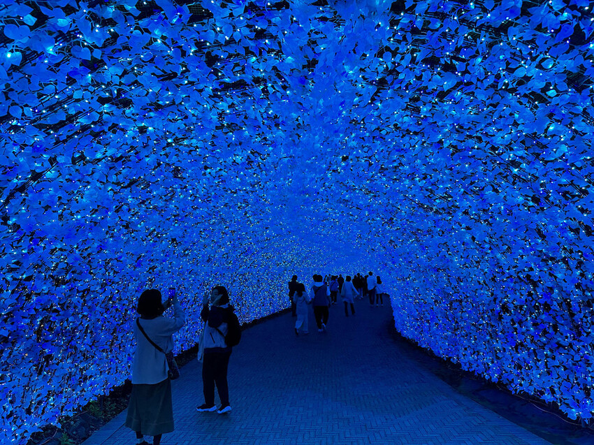 世界級美景,日本最大絢麗夢幻夜間燈光秀,結合花朵與燈飾的「名 世界級美景,日本最大絢麗夢幻夜間燈光秀,結合花朵與燈飾的「名